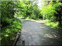 NO2407 : Old estate road, Lomond Hills by Bill Kasman