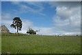 Field, Marybank