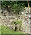 Trough at Brookhouse, Mixenden, Halifax