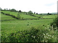 Stream winding its way between drumlins on the west side of Dromara Road