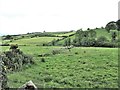 Drumlin ridge farms on the Carnalroe Road