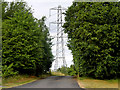 Electricity Pylon near Manor Farm