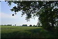 Footpath to Burton-le-Coggles