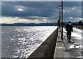 Path along the Tay at Magdalen Green, Dundee