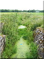 Drain on Crudgington Moor