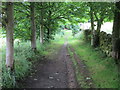 Bridleway from West Manywells to Coldspring Mill