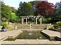 The Lily Pond in Pannett Park