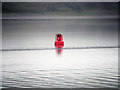 NN0164 : Corran Shoal Marker Buoy, Loch Linnhe by David Dixon