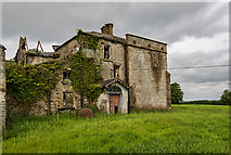 W8398 : Bellvue House, Fermoy - a walk around a ruin (1) by Mike Searle