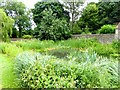 Pond on Hay Street