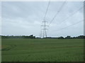 Crop field and power lines, Commonhead