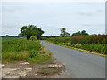 Road from Hawkedon towards Rede