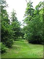 Woodland Path, Floors Castle, Kelso