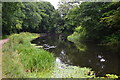 Basingstoke Canal at St John