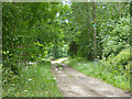 Track to Horsepool Lodge, Farm and Wood