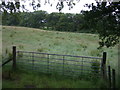 Field entrance off Avonbridge Road