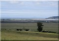 Tuag Ynyslas / Towards Ynyslas