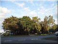 Roundabout at the end of Wimborne Road East