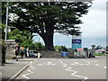 Western Terrace Approaching Falmouth Rugby Club Ground