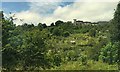 A view across hillside allotments to Muller House off Ashley Down Road, Bristol