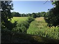 Wey and Arun Canal