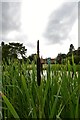 Haughley Park: Bulrushes, a glass sculpture and the house