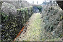 SX4859 : Ditch, Crownhill Fort by N Chadwick