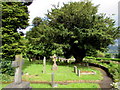SO2813 : Yew in the village churchyard, Llanfoist by Jaggery