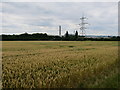 View to Kingsnorth Power Station