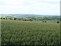 The view from the bridleway