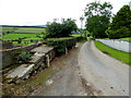 Foresters Road, Meaghy