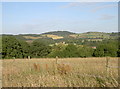 Over Park Copse to Stantonbury Hill