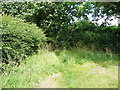 Footpath on the northern side of the village, Weeton