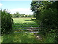 Field gate on footpath off Back Lane, Weeton