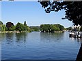 The River Thames in Reading