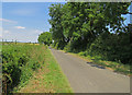 Gaddesby Lane towards Frisby