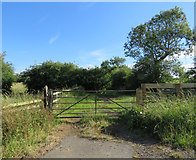 SK7417 : Gateway on south side of Kirby Lane by Andrew Tatlow