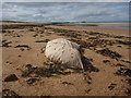 NT6579 : Coastal East Lothian : Traveller's Rest, Belhaven Sands by Richard West