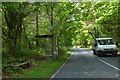 Bus shelter on Pyrford Common Road