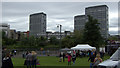 Tower blocks at the Gorbals from Glasgow Green