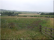 NT2566 : Field entrance off Seafield Moor Road (A703) by JThomas