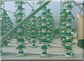 Hydroponic columns at Pershore College