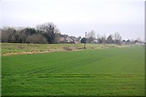 TL5786 : Edge of Littleport by N Chadwick