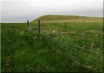 Lomond Hills Regional Park :: Geograph Britain and Ireland