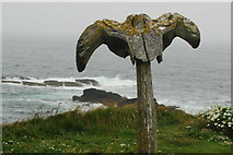 HY2428 : The Whale Head close to Skipi Geo by stalked