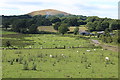 Ton-yr-efail-fach Farm, Manmoel road