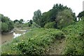 Mown path along the river bank