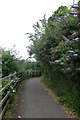 ST6171 : River path near Avon Bridge by DS Pugh