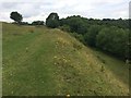 Uley Bury Iron Age Hill Fort