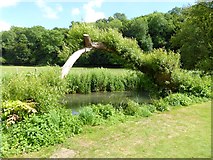 SP1403 : Natural willow arch by the River Coln by Oliver Dixon